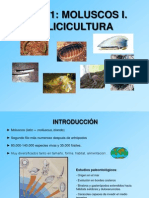 Tema 1 Helicicultura PDF
