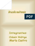 brucella-090709150558-phpapp01.ppt