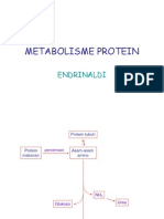 metabolisme protein & Biosintesis Urea.ppt