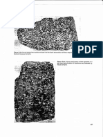 Flguro Aligned Plagioclase Crystals Enclosed Liquid Ol Titano Bushveld Complex