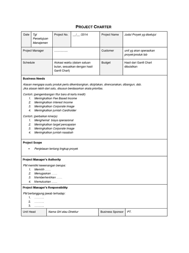 Contoh Project Charter Sederhana | PDF