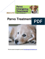 Parvo Treatment 101