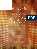 Conabio09 Origen Del Maiz PDF