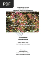 Juliani_Curso_Metamorficas_USP.pdf