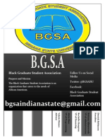 Bgsa Flyer