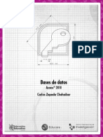 Bases de Datos Access 2010 PDF