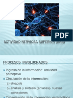 Actividad Nerviosa Superior.pptx