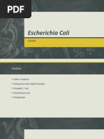 Download Escherichia Coli dan Helicobacter pylori by Faya Widyaningrum SN242418780 doc pdf