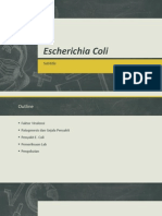 Escherichia Coli Dan Helicobacter Pylori