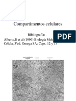 Compartimentos Celulares