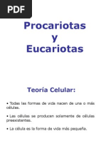 procariotas_y_eucariotas.ppt