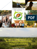 Biblioteca - 217 - Situación Actual y Perspectivas de La Cadena Productiva Del Mango en Colombia PDF