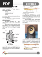 Capítulo 13 - Cordados.pdf