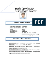 Curriculum.doc