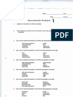macromolecule worksheets