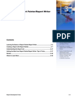 Report Painter Inicio PDF