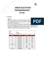 Cursos Electivos Programados TP 54.pdf