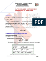 Definicion y Propiedades de Los Radicales PDF