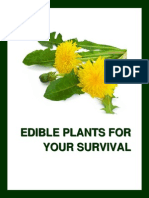 A Basic Guide to Edible Plants
