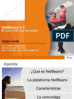 netbeans65es_cl.pdf