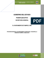Programa_municipal_tampico.pdf