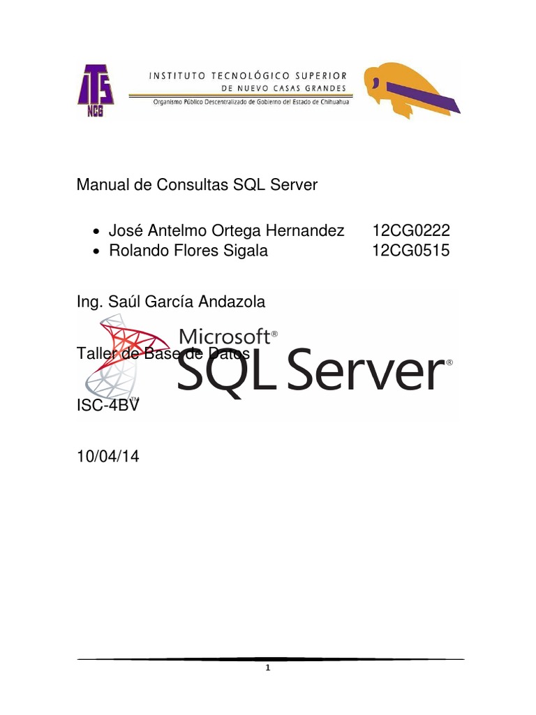 Manual de Consultas SQL Server | PDF | SQL | Gestión de tecnología de ...