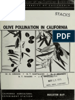 Olive Pollination in California PDF