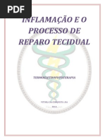 INFLAMAÇÃO E O PROCESSO DE REPARO TECIDUAL.docx