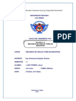 INFORME DE SUELOS.pdf