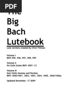Download BachI by Magnifico Superior SN242488288 doc pdf