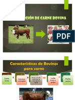 producción de carne vacuna o bovina.pptx