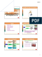Prevención DAI PDF