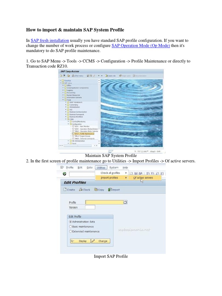 Import and Maintain SAP Profiles Guide | PDF