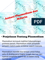 Plasmodium & Malaria