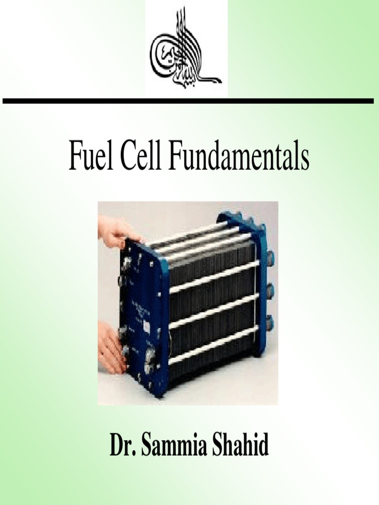Fuel Cell Technology Overview | PDF | Fuel Cell | Proton Exchange ...