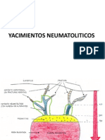 YACIMIENTOS NEUMATOLITICOS.pdf