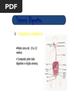 SISTEMA DIGESTIVO.pdf