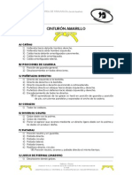Programa cinturon amarillo.pdf