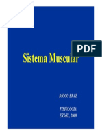 5FisiologiaSistemaMuscular.pdf
