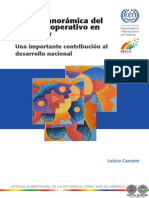 VISION PANORAMICA DEL SECTOR COOPERATIVO EN PARAGUAY - LETICIA CAROSINI - PORTALGUARANI