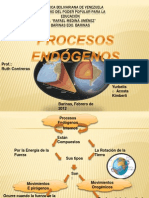 Procesos Endogenos.pptx