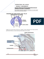 20._estructura__de_la_hoja.pdf