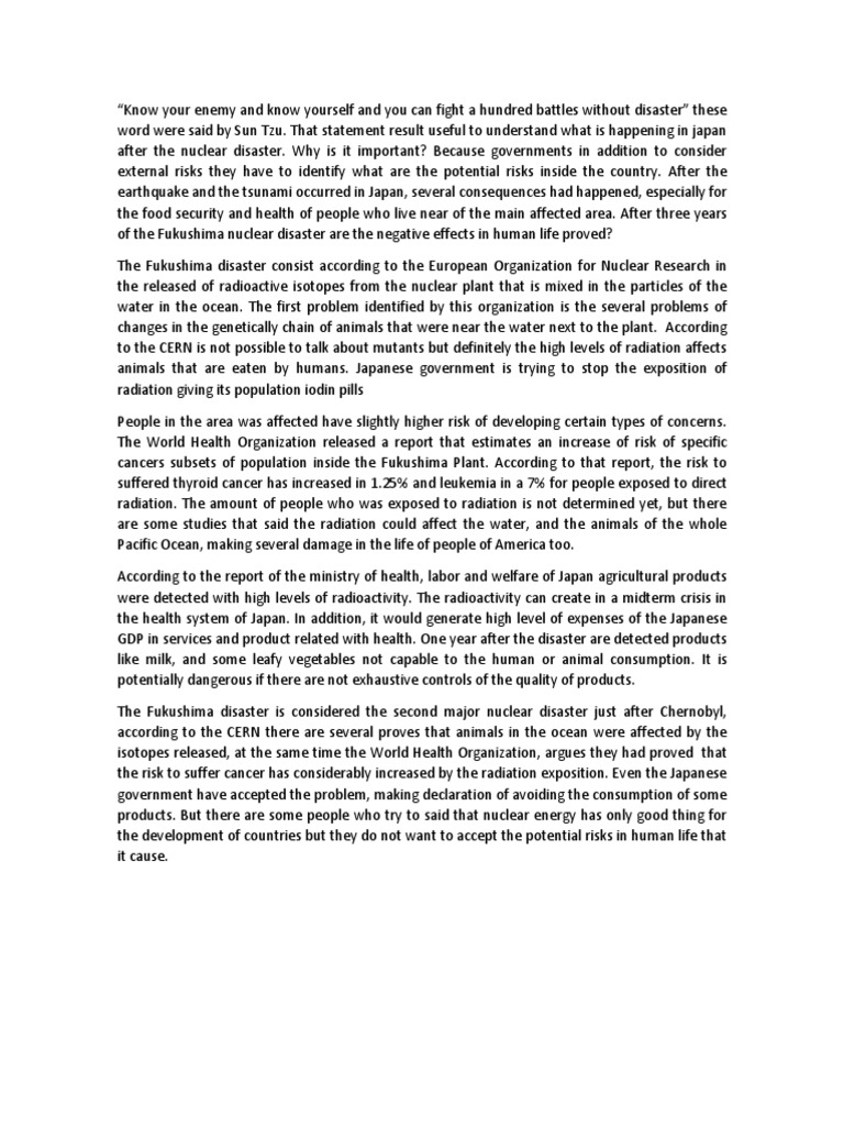 essay on nuclear power plant