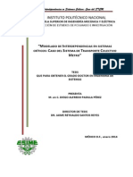 Tesis Doctoral Diego A. Padilla A110754 PDF