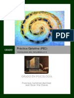 Guía_específica_de_la_práctica_optativa2014-2015.pdf