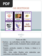 OS SENTIDOS.ppt