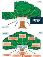 Arbol de Problemas