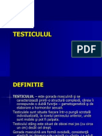 Testiculul.ppt
