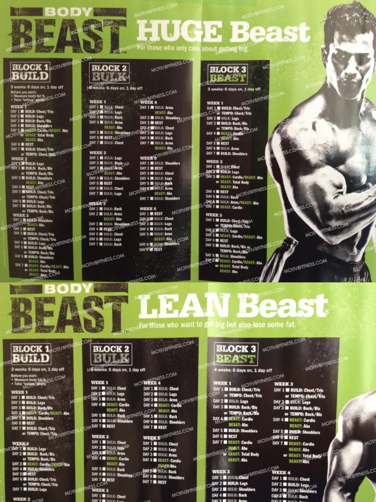 BodyBeast Build - Back and Biceps Workout Sheet, PDF