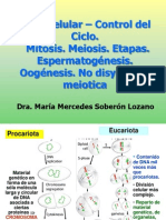 2014 Enfermeria Ciclo - Celular Mitosis Meiosis No - Disyuncion PDF